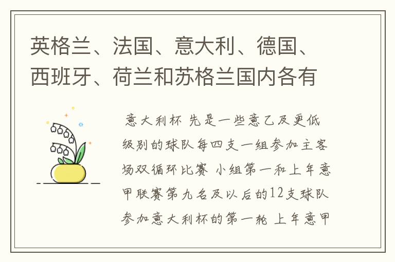 英格兰、法国、意大利、德国、西班牙、荷兰和苏格兰国内各有什么杯赛？