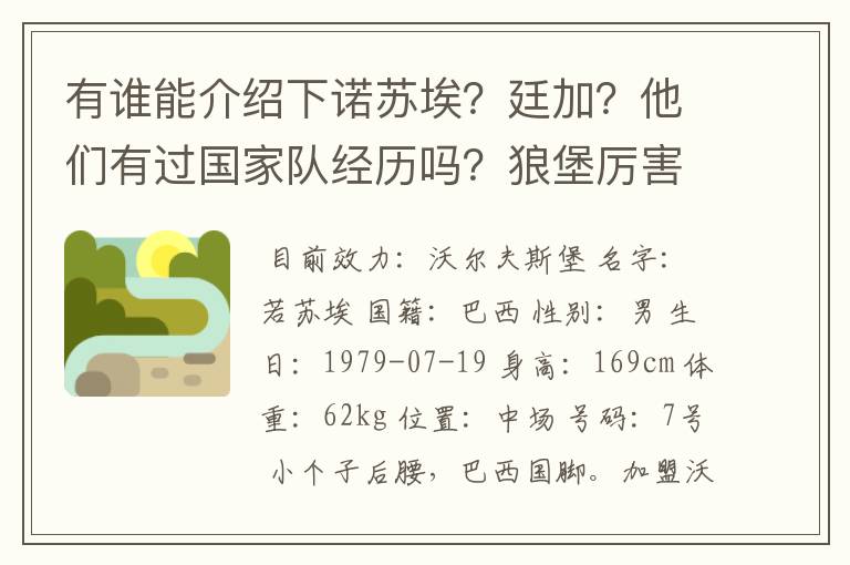 有谁能介绍下诺苏埃？廷加？他们有过国家队经历吗？狼堡厉害吗？它还有哪些明星球员？