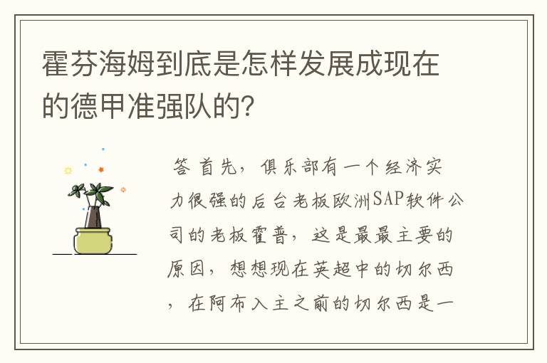 霍芬海姆到底是怎样发展成现在的德甲准强队的？