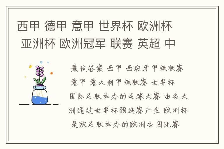 西甲 德甲 意甲 世界杯 欧洲杯 亚洲杯 欧洲冠军 联赛 英超 中超  分别是什么意思啊？