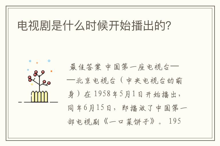 电视剧是什么时候开始播出的？