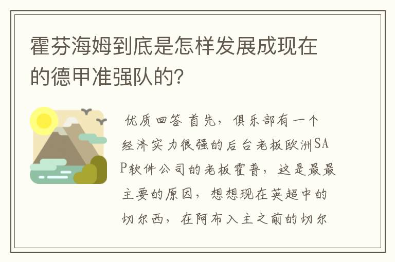 霍芬海姆到底是怎样发展成现在的德甲准强队的？