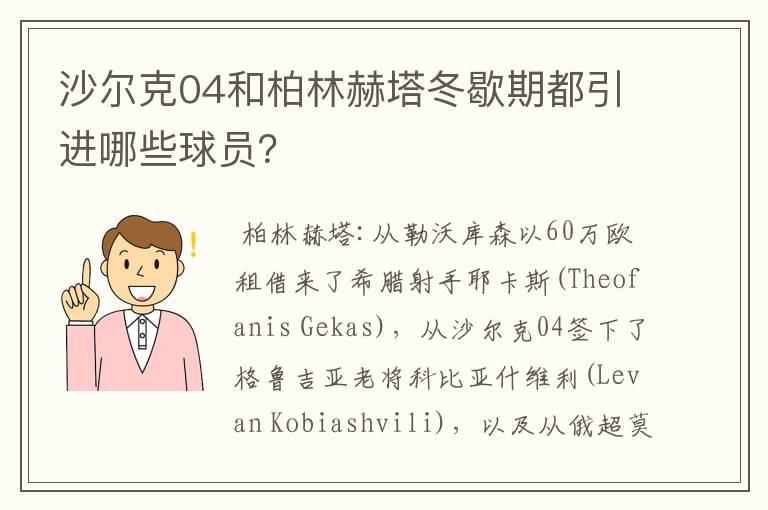 沙尔克04和柏林赫塔冬歇期都引进哪些球员？