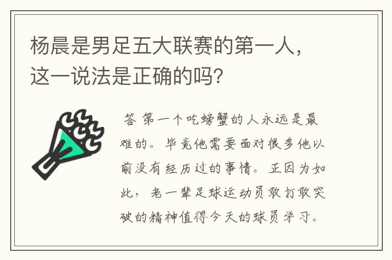 杨晨是男足五大联赛的第一人，这一说法是正确的吗？