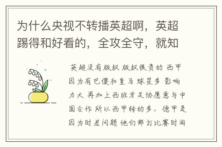 为什么央视不转播英超啊，英超踢得和好看的，全攻全守，就知道转西甲。郁闷的是德甲很少人看啊，转的最多