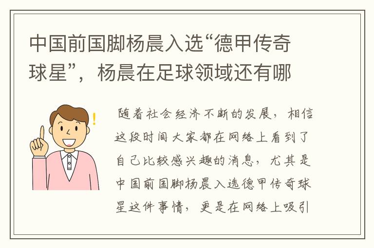 中国前国脚杨晨入选“德甲传奇球星”，杨晨在足球领域还有哪些成就？