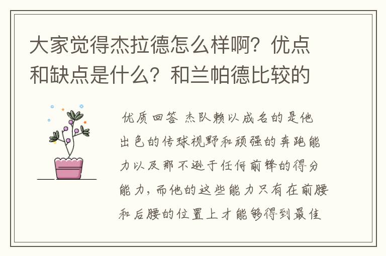 大家觉得杰拉德怎么样啊？优点和缺点是什么？和兰帕德比较的话谁在国家队的价值高一点