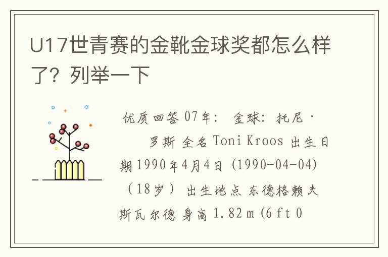 U17世青赛的金靴金球奖都怎么样了？列举一下