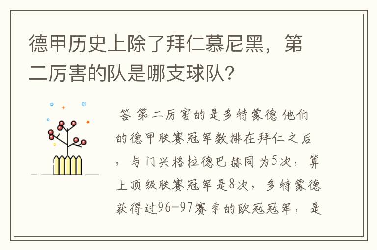 德甲历史上除了拜仁慕尼黑，第二厉害的队是哪支球队？