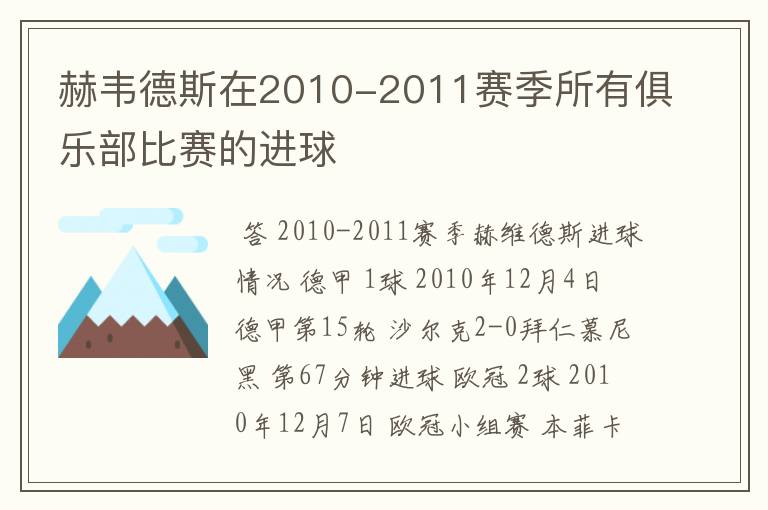 赫韦德斯在2010-2011赛季所有俱乐部比赛的进球