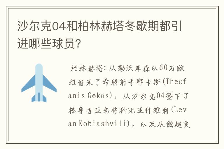 沙尔克04和柏林赫塔冬歇期都引进哪些球员？