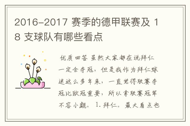 2016-2017 赛季的德甲联赛及 18 支球队有哪些看点