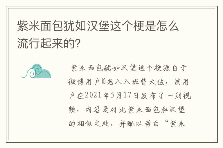 紫米面包犹如汉堡这个梗是怎么流行起来的？