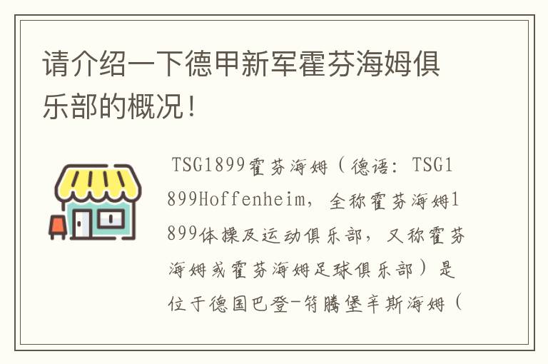 请介绍一下德甲新军霍芬海姆俱乐部的概况！