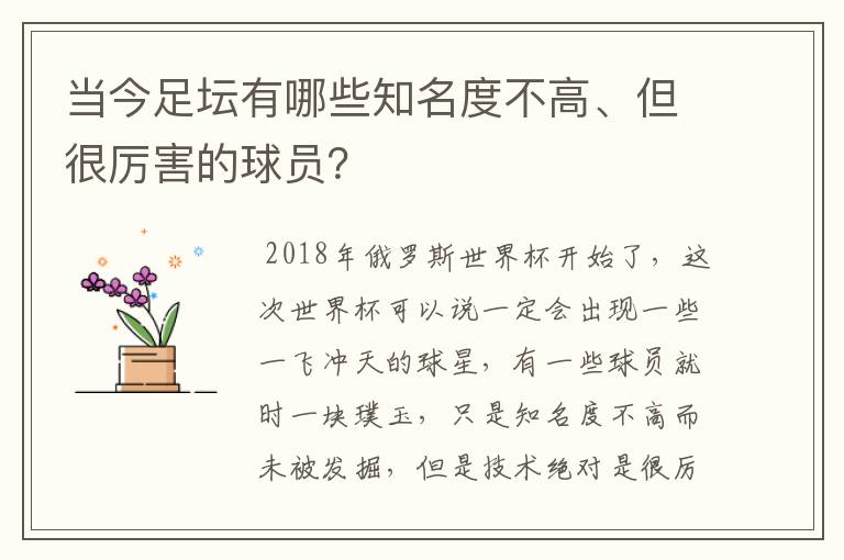 当今足坛有哪些知名度不高、但很厉害的球员？