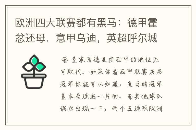 欧洲四大联赛都有黑马：德甲霍忿还母．意甲乌迪，英超呼尔城，西甲皇家马德里