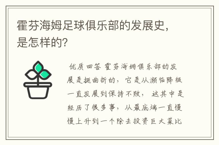 霍芬海姆足球俱乐部的发展史，是怎样的？