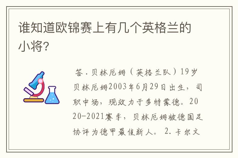 谁知道欧锦赛上有几个英格兰的小将?