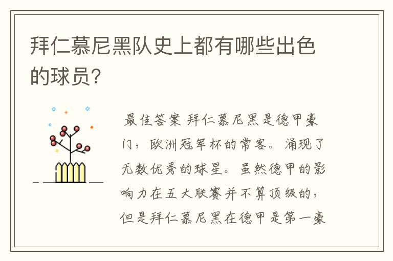 拜仁慕尼黑队史上都有哪些出色的球员？