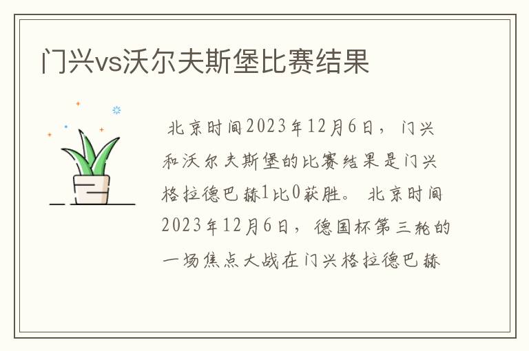 门兴vs沃尔夫斯堡比赛结果