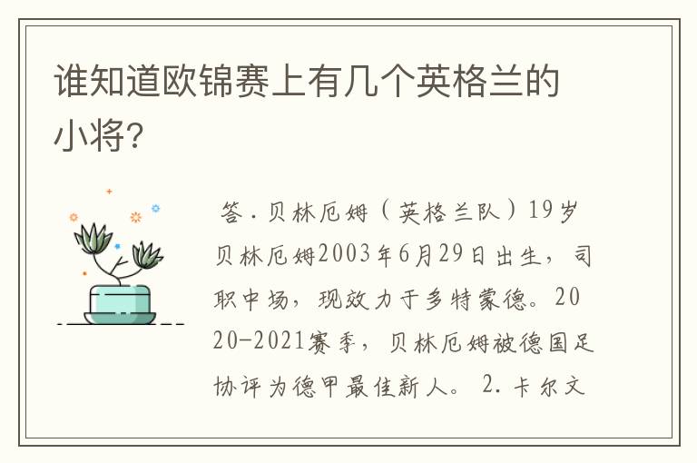 谁知道欧锦赛上有几个英格兰的小将?