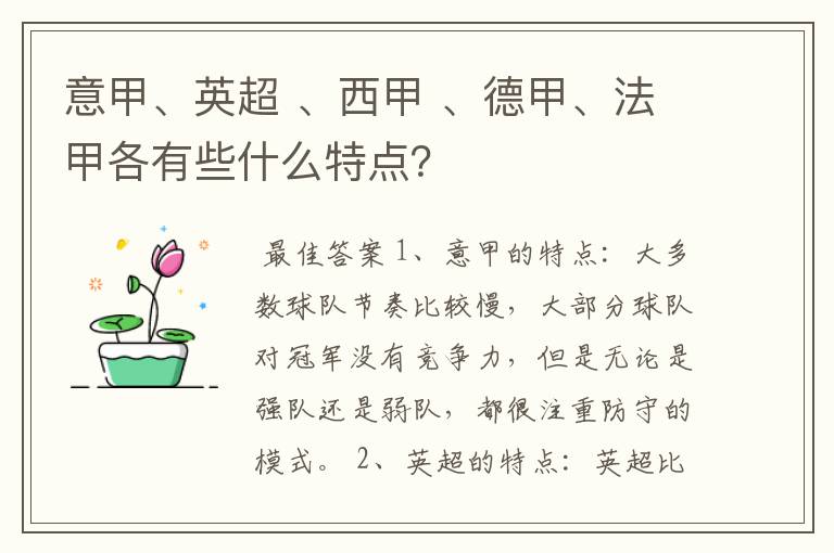 意甲、英超 、西甲 、德甲、法甲各有些什么特点？