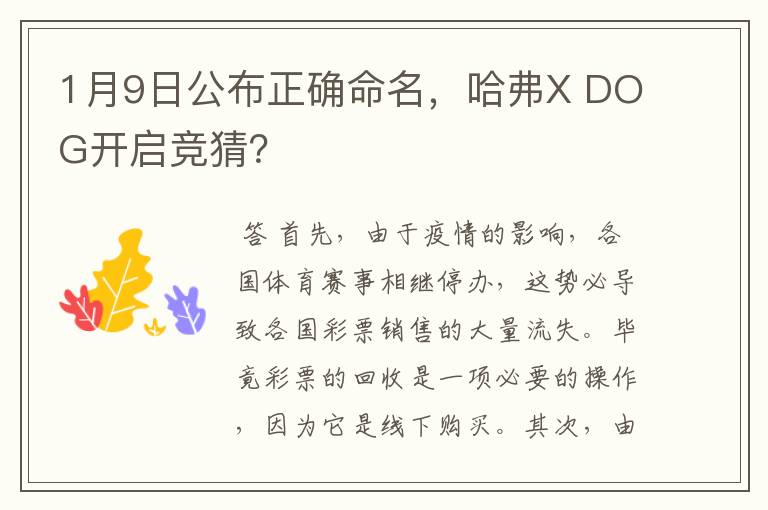 1月9日公布正确命名，哈弗X DOG开启竞猜？