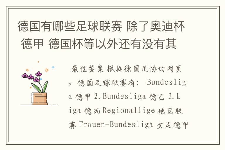 德国有哪些足球联赛 除了奥迪杯 德甲 德国杯等以外还有没有其他的？