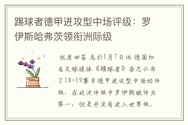 踢球者德甲进攻型中场评级：罗伊斯哈弗茨领衔洲际级