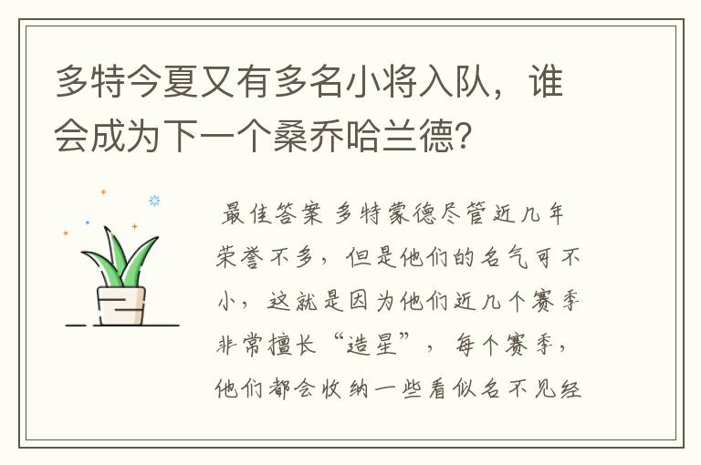 多特今夏又有多名小将入队，谁会成为下一个桑乔哈兰德？