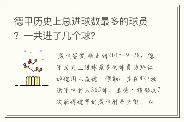 德甲历史上总进球数最多的球员？一共进了几个球？