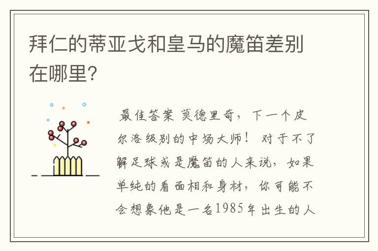 拜仁的蒂亚戈和皇马的魔笛差别在哪里？