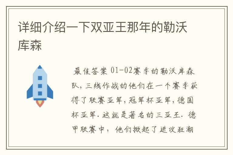 详细介绍一下双亚王那年的勒沃库森