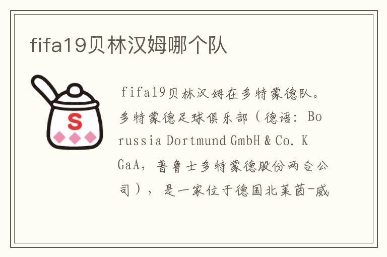 fifa19贝林汉姆哪个队