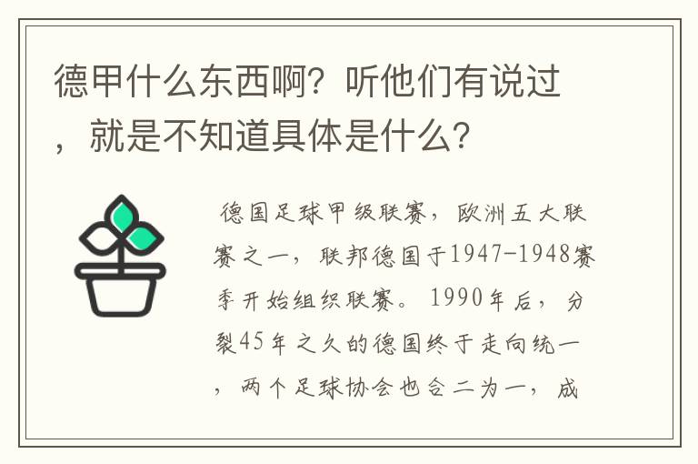 德甲什么东西啊？听他们有说过，就是不知道具体是什么？