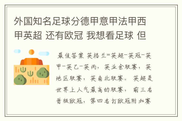 外国知名足球分德甲意甲法甲西甲英超 还有欧冠 我想看足球 但不知道怎么分辨他们怎么进行比赛的