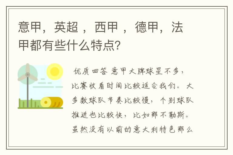 意甲，英超 ，西甲 ，德甲，法甲都有些什么特点？