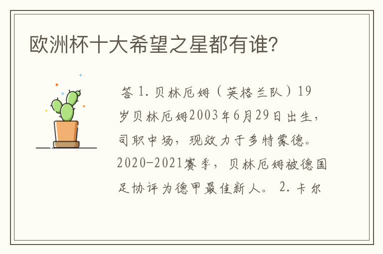 欧洲杯十大希望之星都有谁？