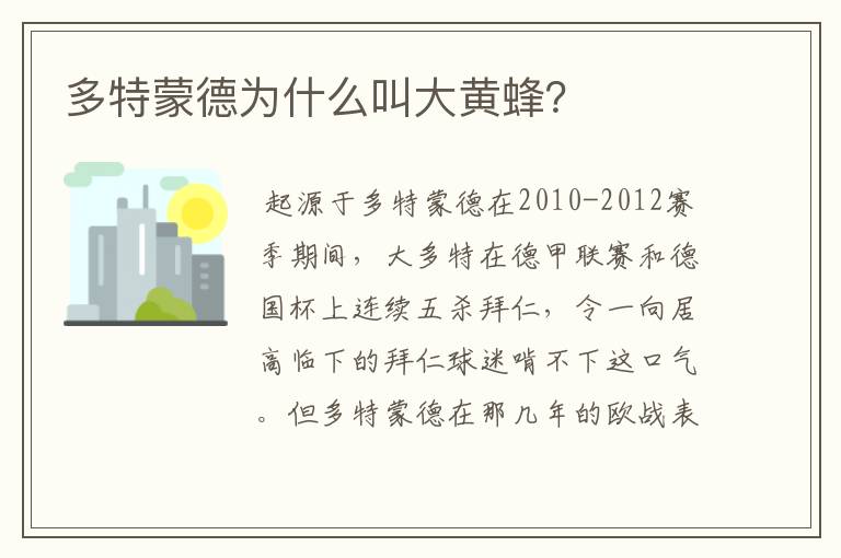 多特蒙德为什么叫大黄蜂？