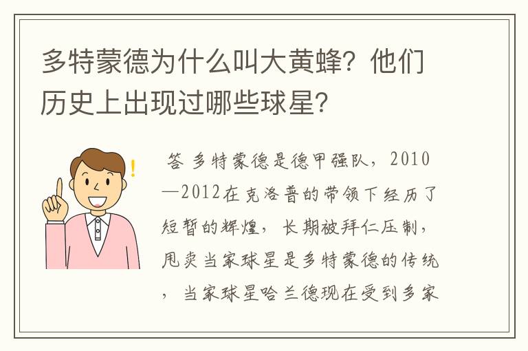 多特蒙德为什么叫大黄蜂？他们历史上出现过哪些球星？