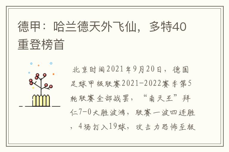 德甲：哈兰德天外飞仙，多特40重登榜首