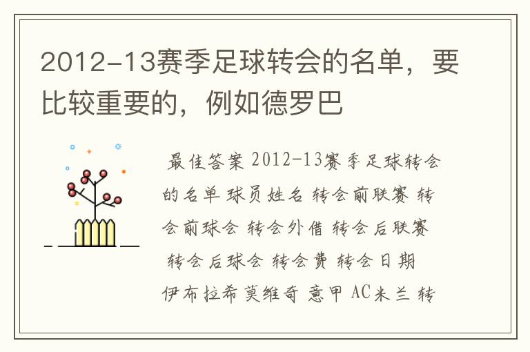 2012-13赛季足球转会的名单，要比较重要的，例如德罗巴