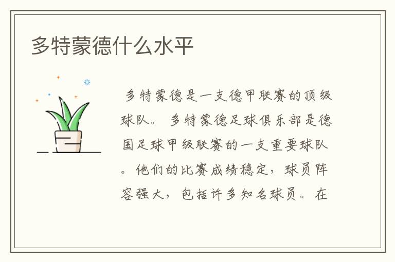 多特蒙德什么水平