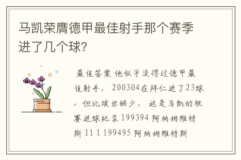 马凯荣膺德甲最佳射手那个赛季进了几个球？