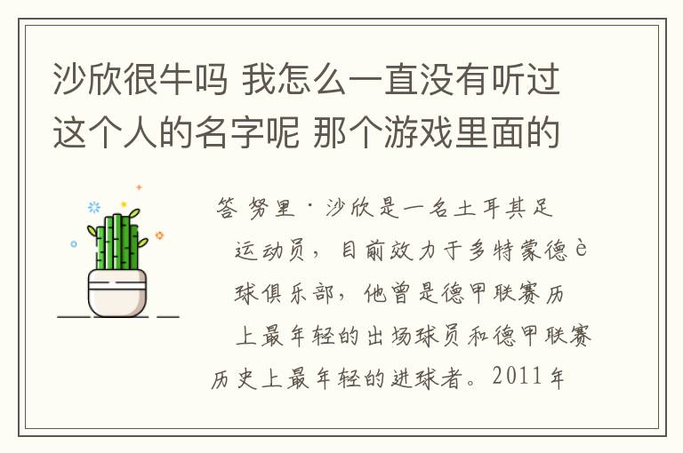 沙欣很牛吗 我怎么一直没有听过这个人的名字呢 那个游戏里面的那个Nari是不是沙欣？