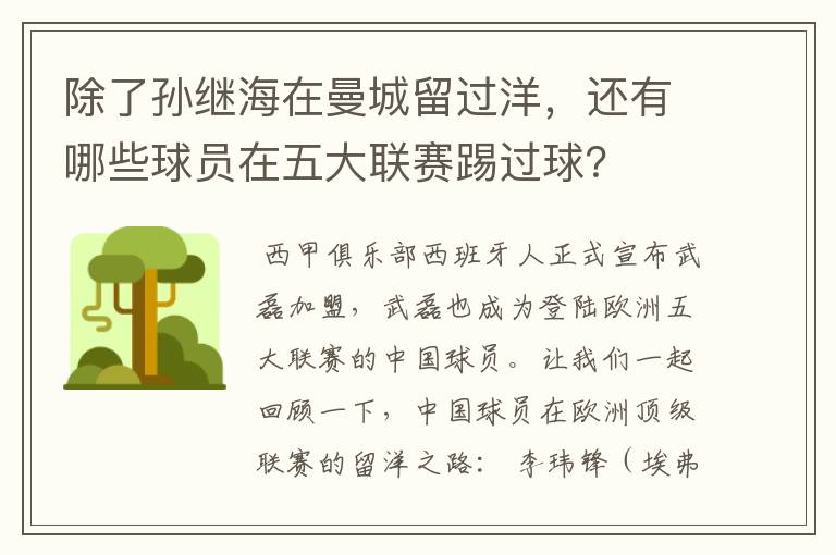 除了孙继海在曼城留过洋，还有哪些球员在五大联赛踢过球？