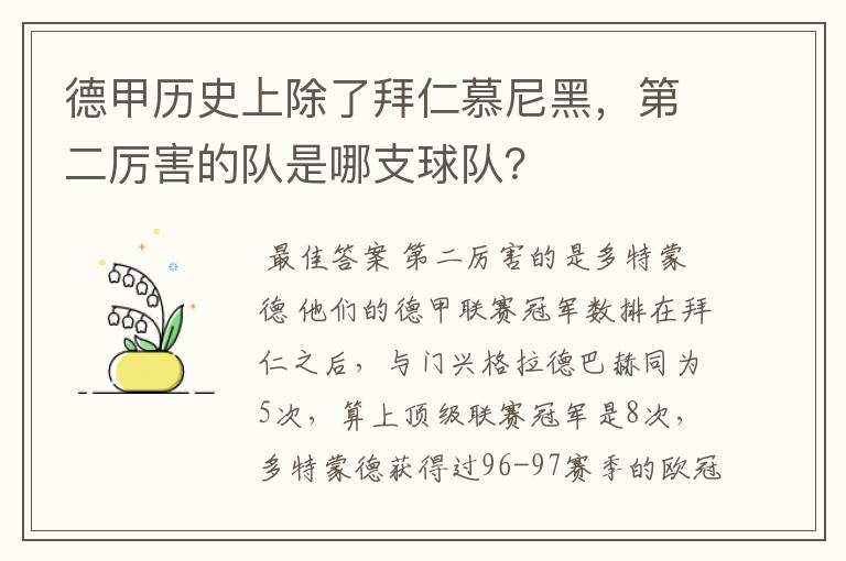 德甲历史上除了拜仁慕尼黑，第二厉害的队是哪支球队？