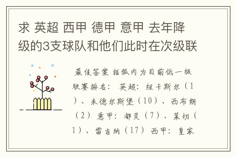 求 英超 西甲 德甲 意甲 去年降级的3支球队和他们此时在次级联赛的排名