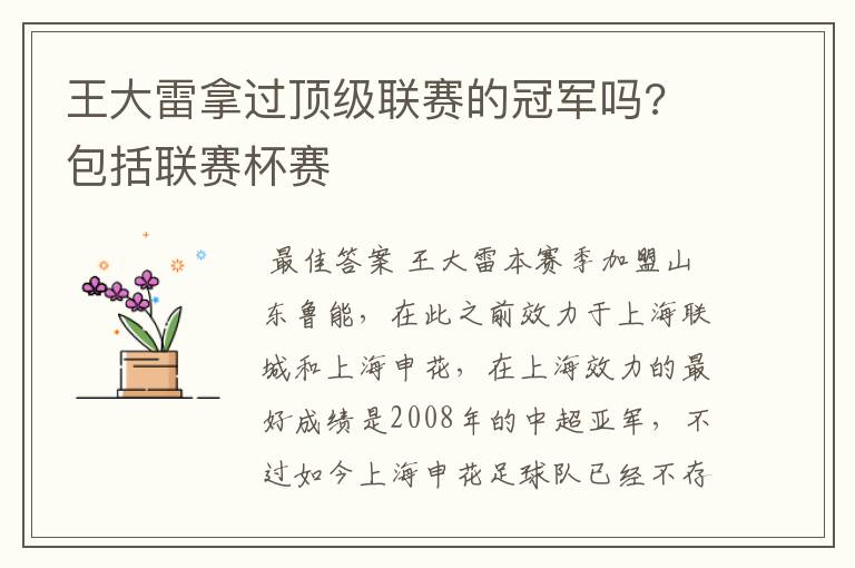 王大雷拿过顶级联赛的冠军吗? 包括联赛杯赛