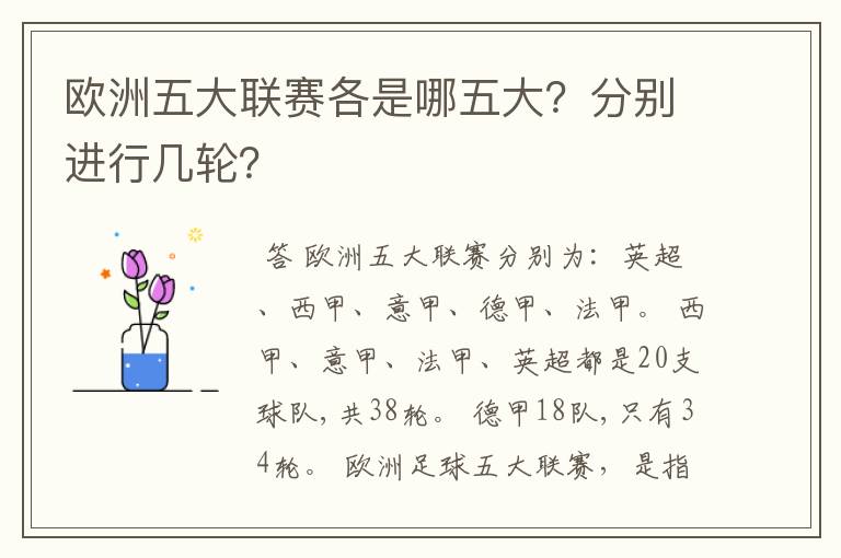 欧洲五大联赛各是哪五大？分别进行几轮？